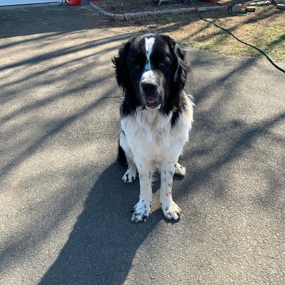 Meet your Posher, Lisa - Picture 7 of 12